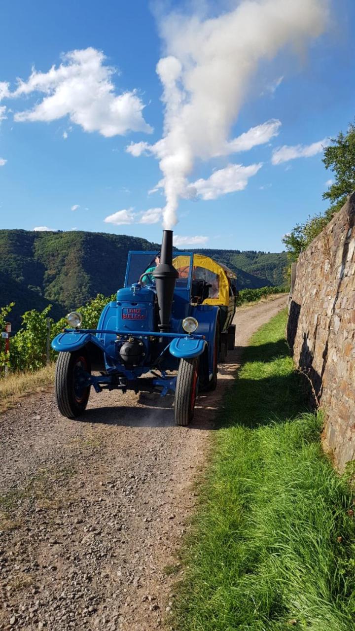 Weingut Erich Serwazi Мезених Экстерьер фото
